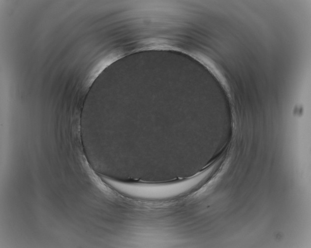X0000090861289200707271221