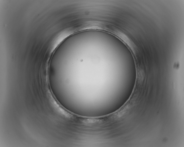 X0000090861290200707271221