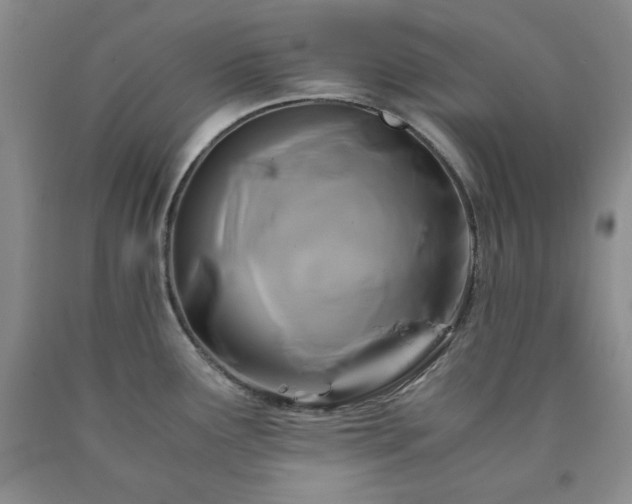 X0000090861291200707271221