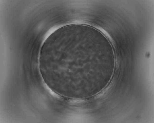 X0000090861294200707271220