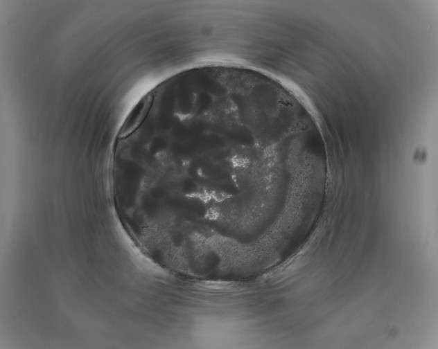 X0000090861295200707271220