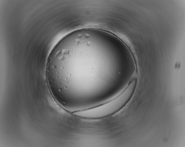 X0000090861296200707271220
