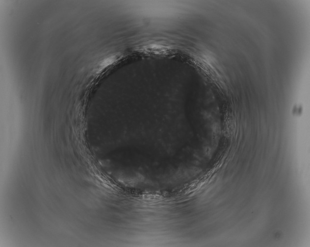 X0000090861297200707271220