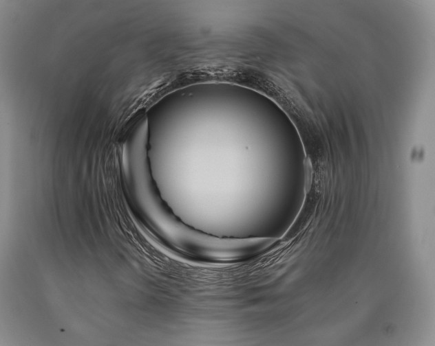 X0000090861298200707271220