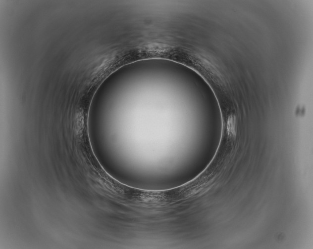 X0000090861299200707271220