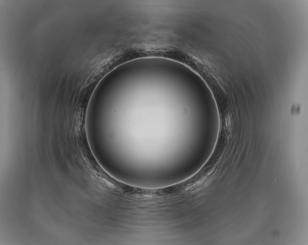 X0000090861300200707271220