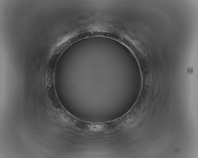 X0000090861303200707271220