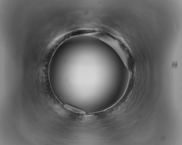 X0000090861304200707271220