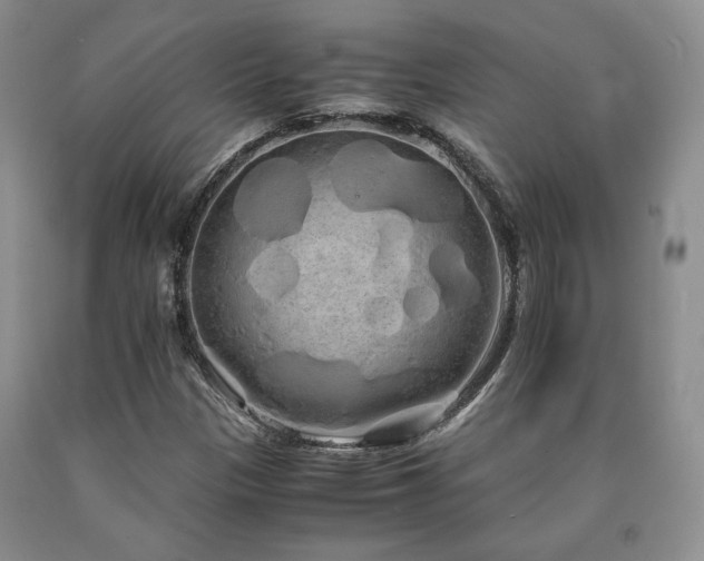X0000090861305200707271220