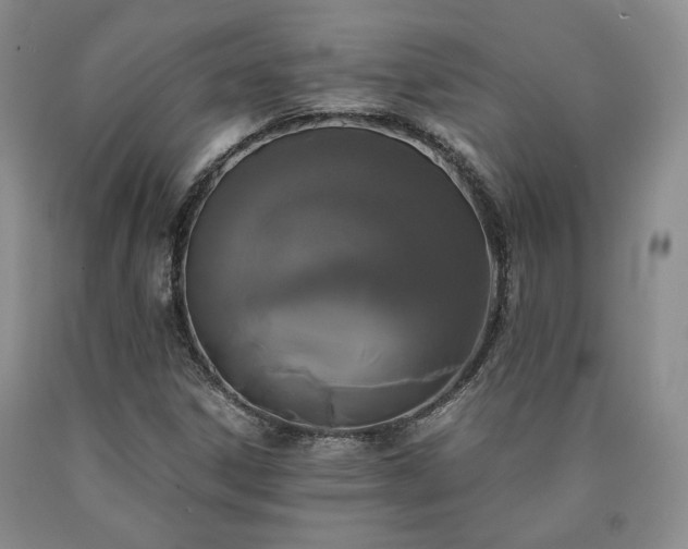 X0000090861306200707271220