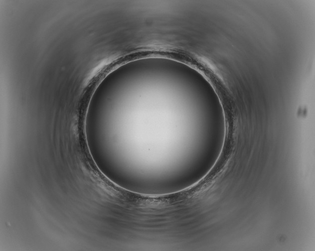 X0000090861307200707271220