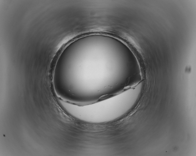 X0000090861308200707271220