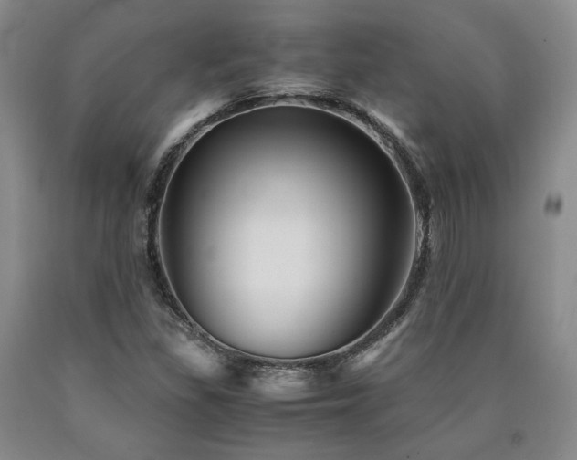X0000090861309200707271220