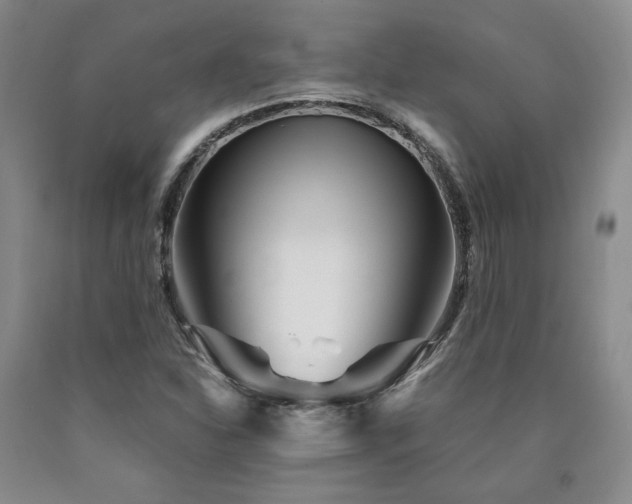 X0000090861310200707271220
