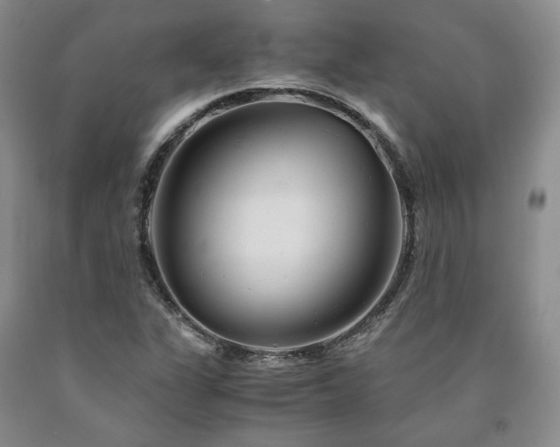 X0000090861311200707271220