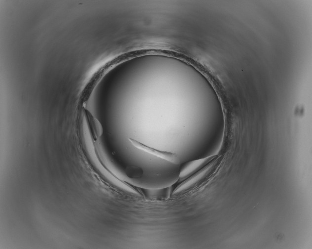 X0000090861312200707271220