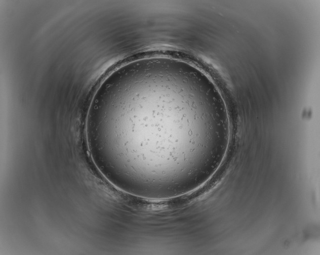 X0000090861313200707271220