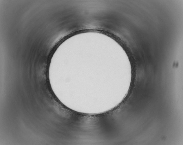 X0000090861314200707271220