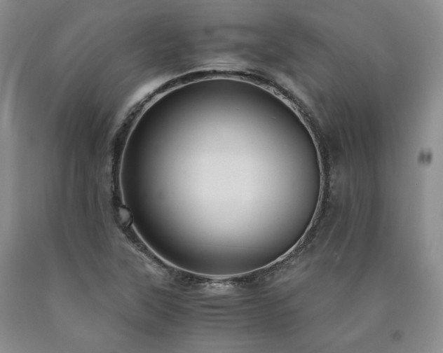 X0000090861315200707271220