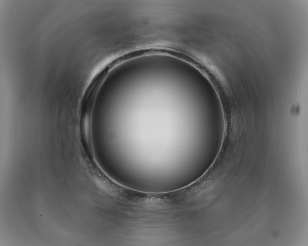 X0000090861316200707271220