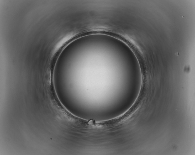 X0000090861317200707271220