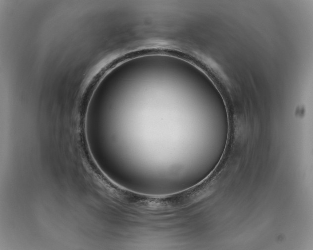 X0000090861318200707271220