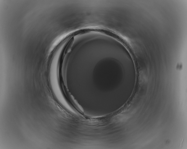 X0000090861319200707271220