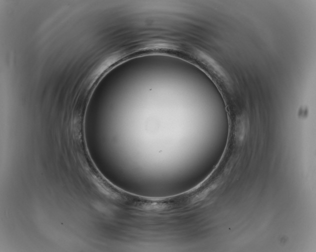 X0000090861321200707271220