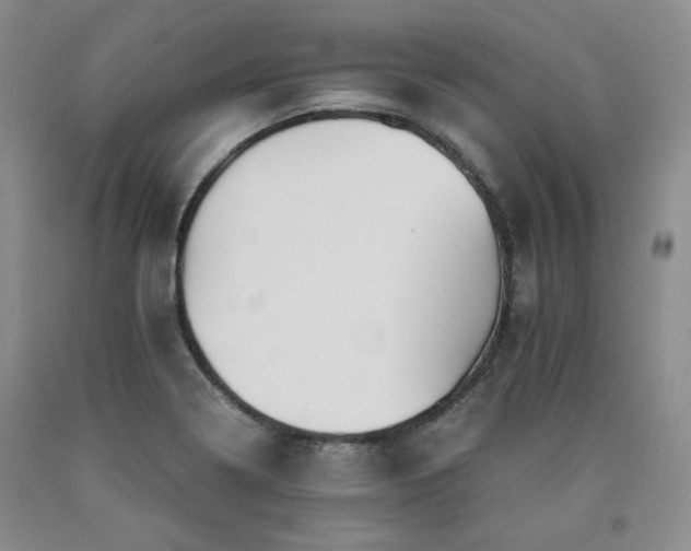 X0000090861322200707271220