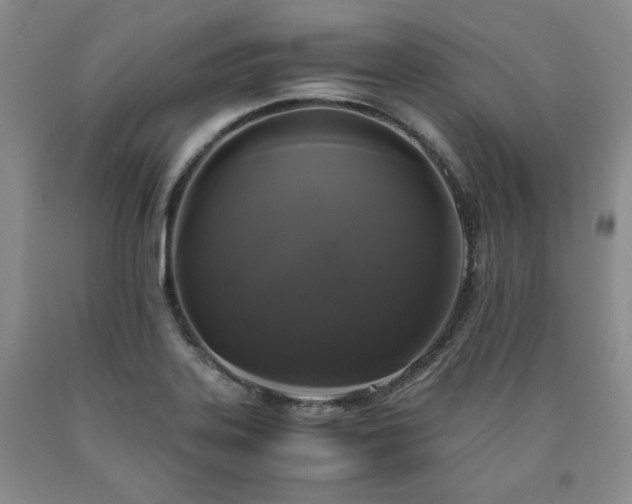X0000090861323200707271220