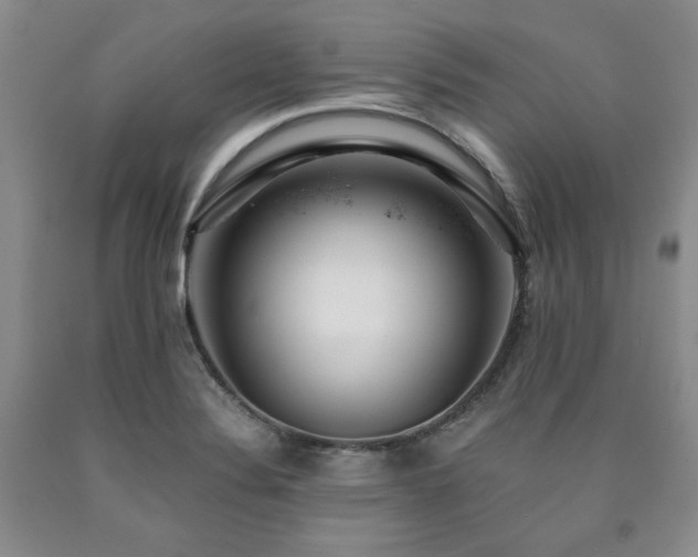X0000090861324200707271220