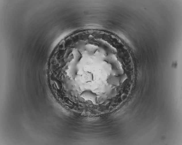 X0000090861325200707271220