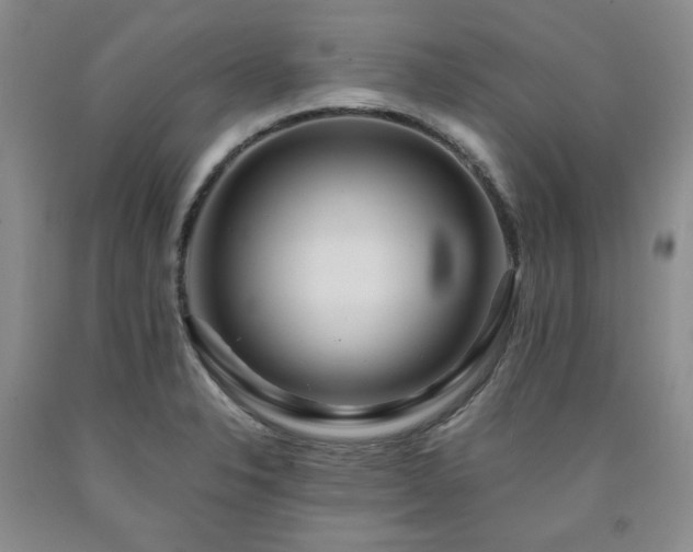 X0000090861326200707271220