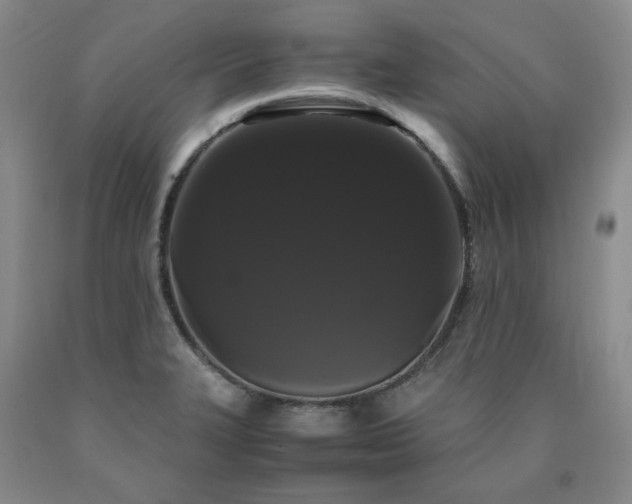 X0000090861327200707271220