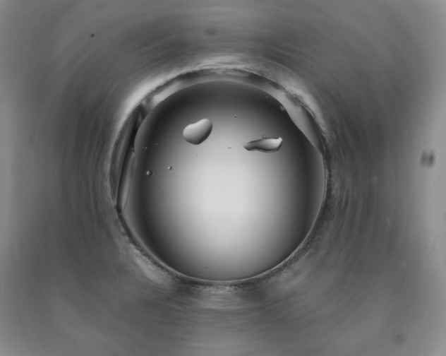 X0000090861328200707271220
