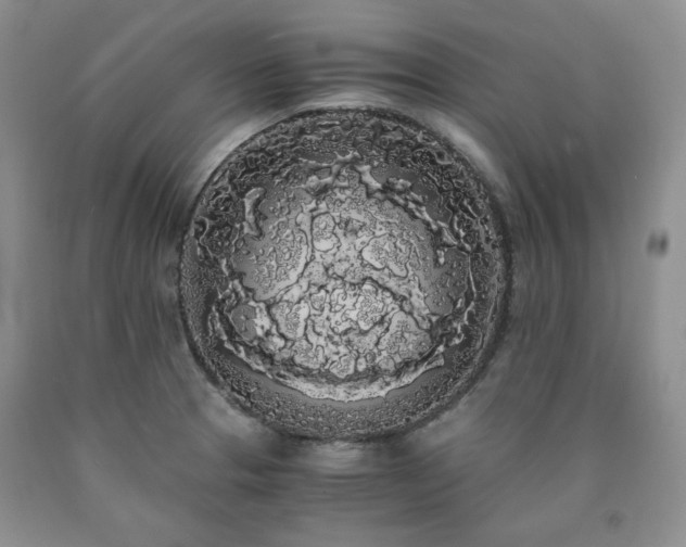 X0000090861329200707271220