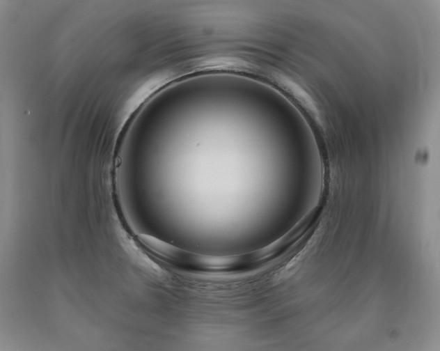 X0000090861330200707271220