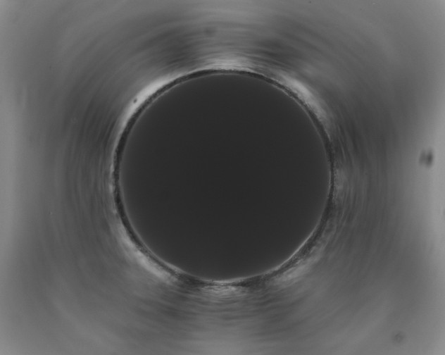 X0000090861331200707271220