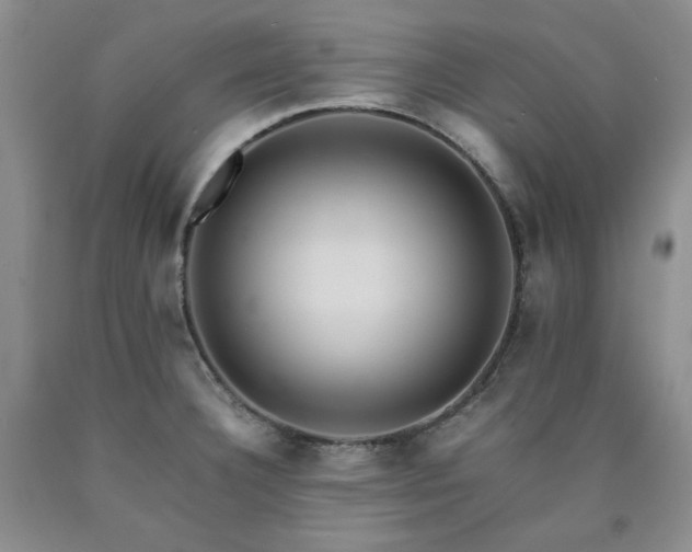 X0000090861332200707271220