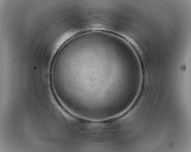 X0000090861333200707271220
