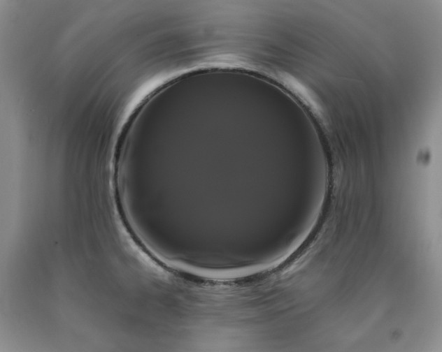 X0000090861334200707271220