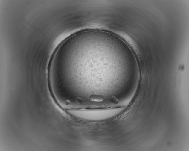 X0000090861335200707271220