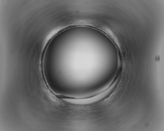 X0000090861336200707271220