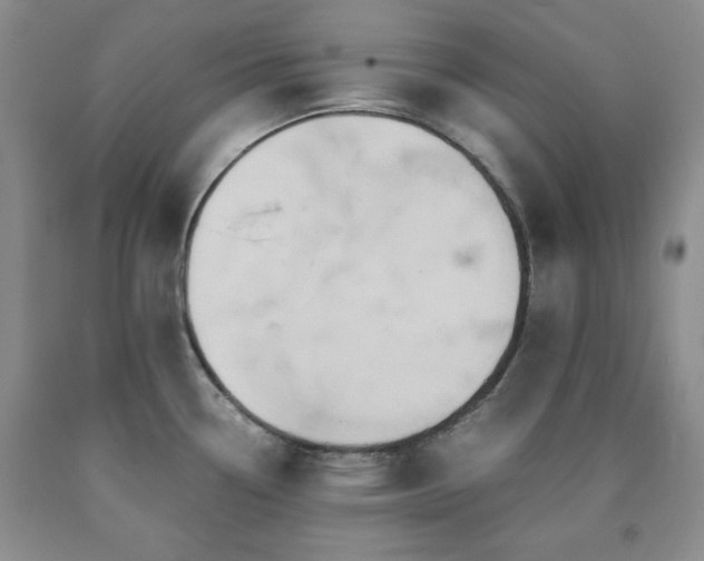 X0000090861338200707271220
