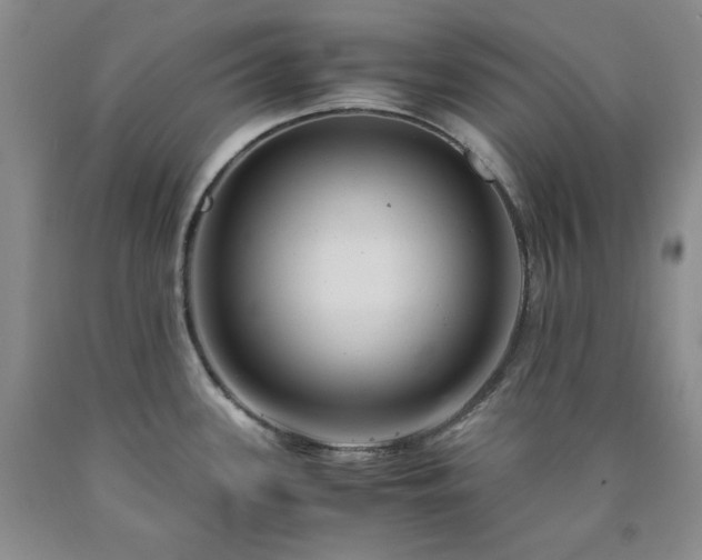 X0000090861339200707271220