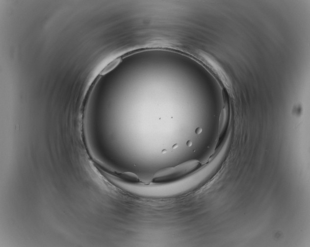 X0000090861340200707271220