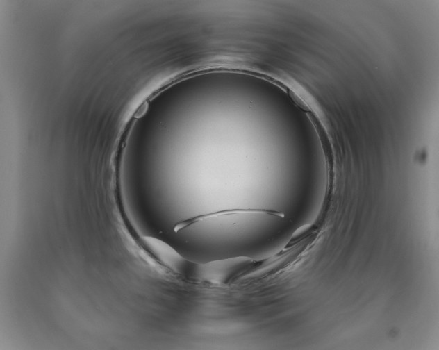 X0000090861341200707271220
