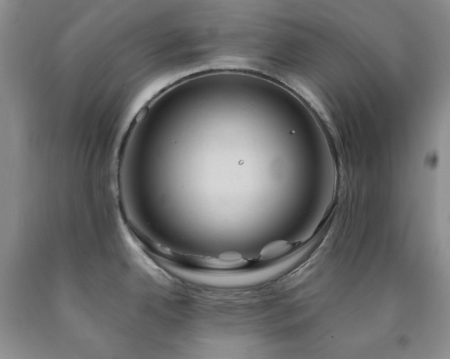 X0000090861342200707271220