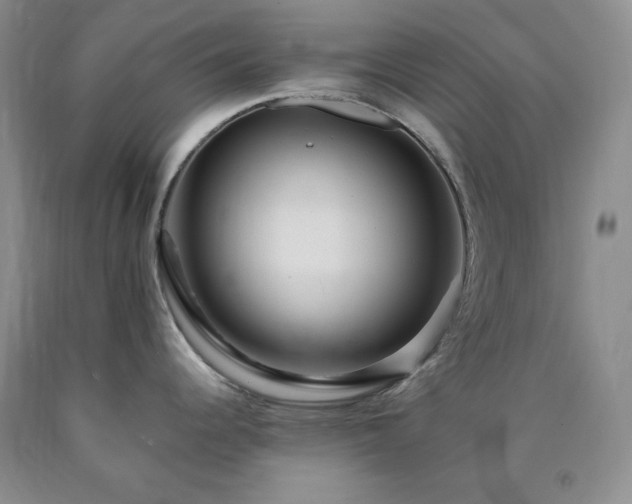 X0000090861344200707271220