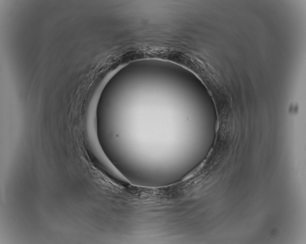 X0000090861345200707271220